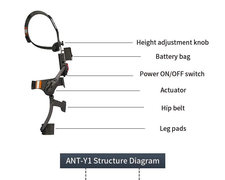 Ant-Y1 Lumbar Support Robot